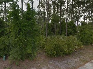 53 Wellstream Ln, Palm Coast, FL 32164