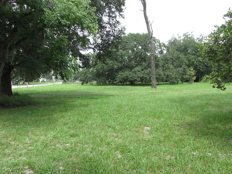 5500 Lake Lizzie Dr — Photo 2