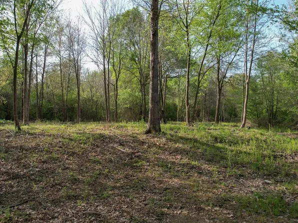 County Road 3213, De Kalb, TX 75559