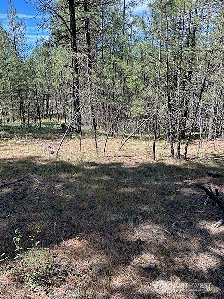 4th image of 0 Rocky Ridge Road