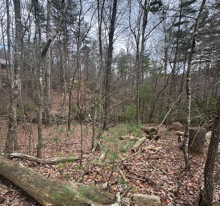 1st image of LOT-16R Leatherwood Mountain Rd
