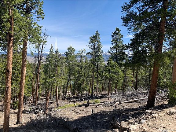 3rd image of 1319 Sequoia Dr
