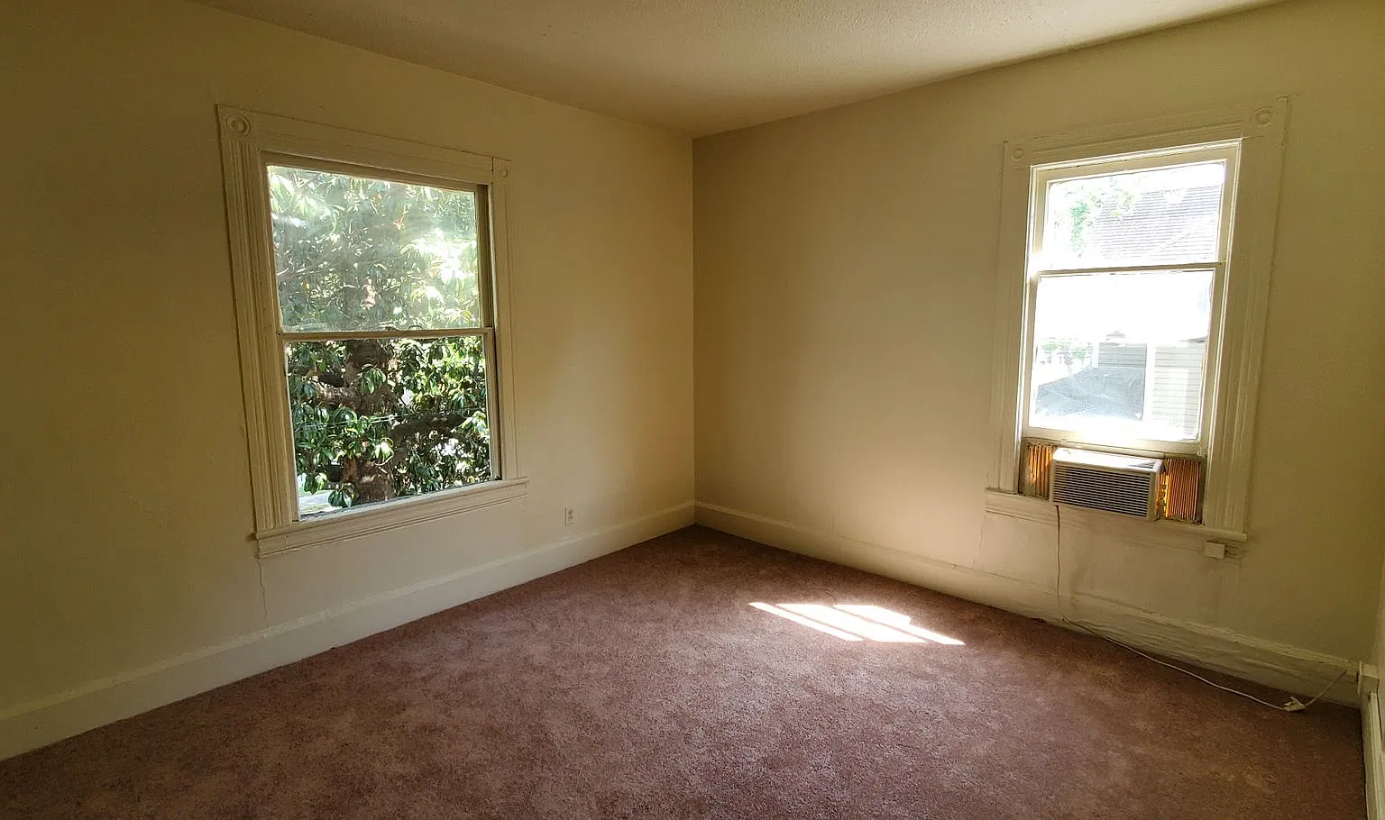 669 Percy Street — Photo 3