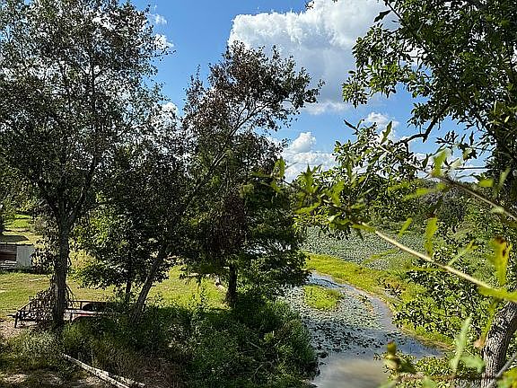 Amazing view from tree house
