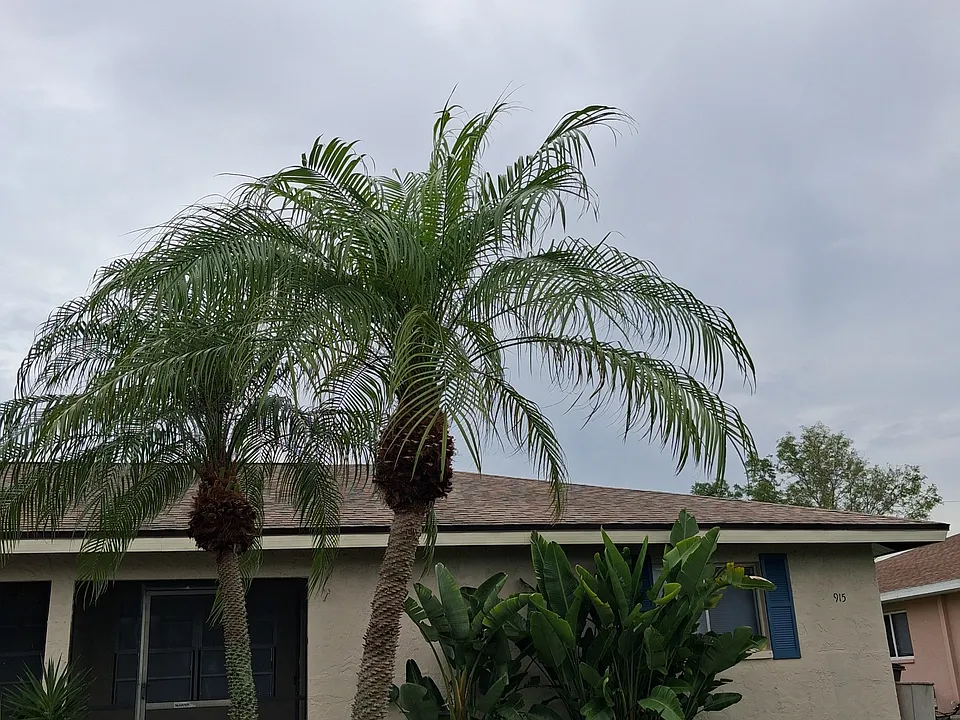 913 SE 14th Ter #915