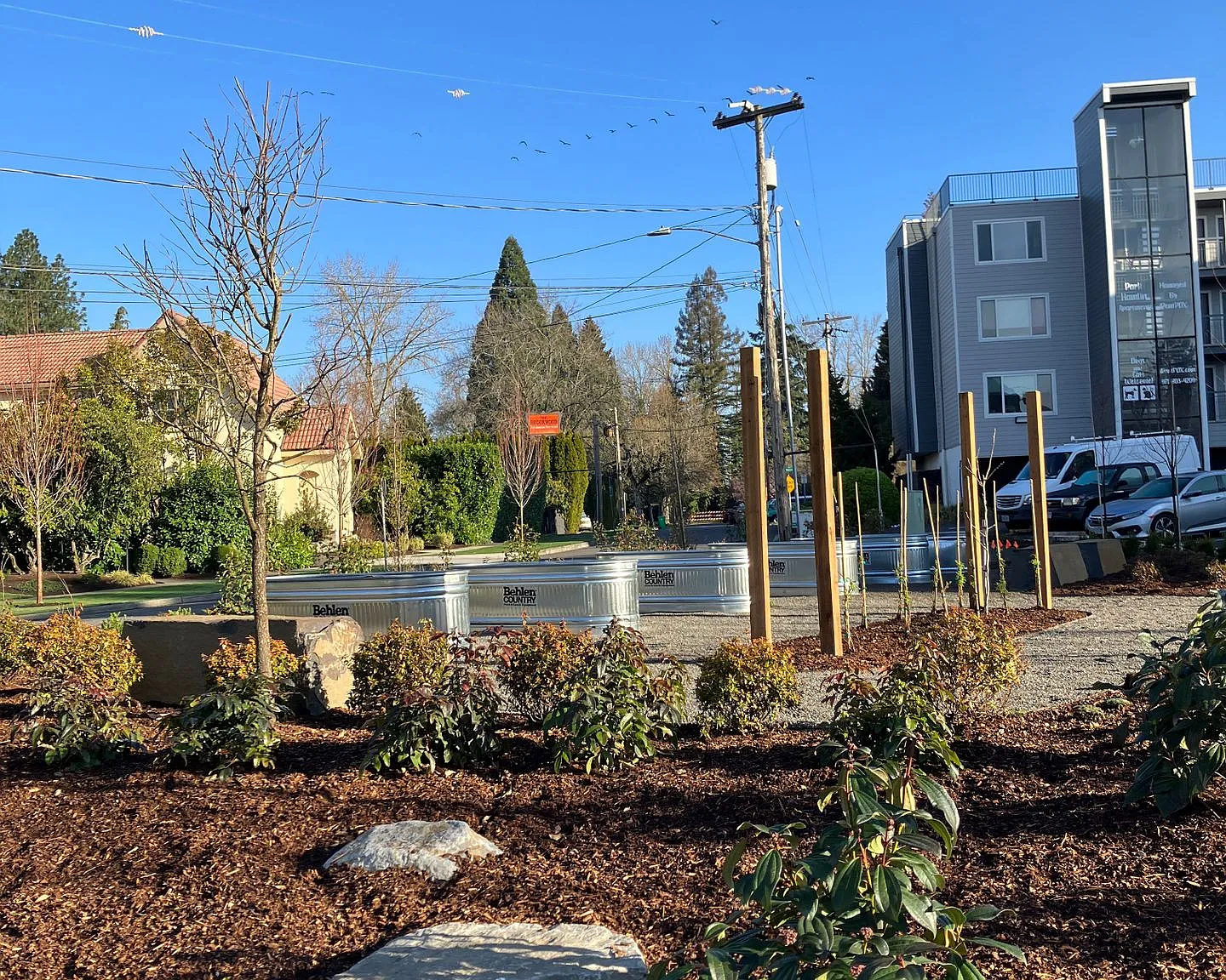 Park Hamlin - 2323 SE Harrison — Photo 3