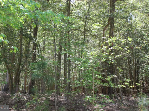 1780 Yeoman Ct, Greenbackville, VA 23356