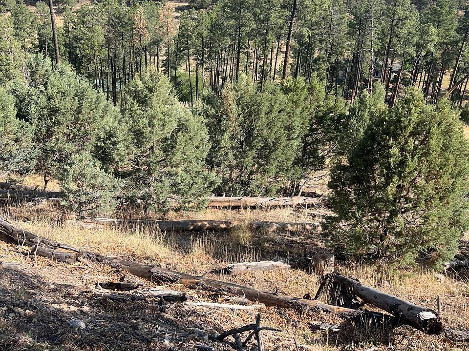 2nd image of 357 El Camino Dr