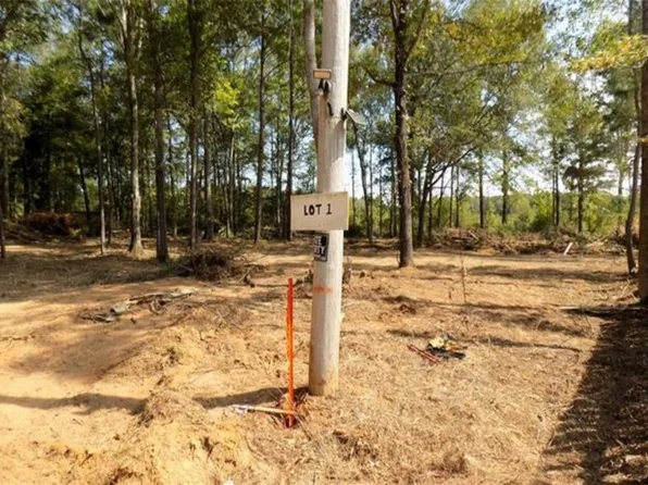 0 Shannon Ln #1, Chatham, LA 71226