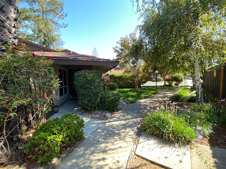 5031 Pine Tree Ter — Photo 3