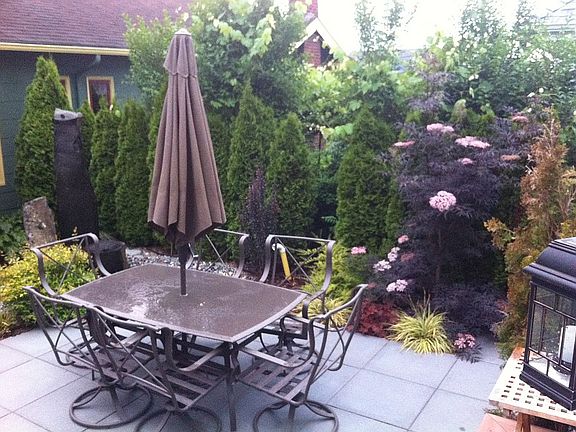 back yard dining area