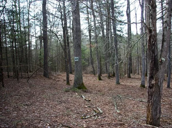 Lot 41 Hillside Lane, Callicoon, NY 12723