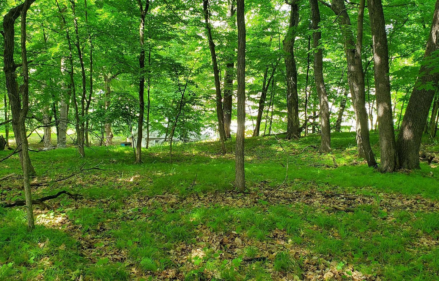 10419 Nevens Ave NW, South Haven, MN 55382 Zillow