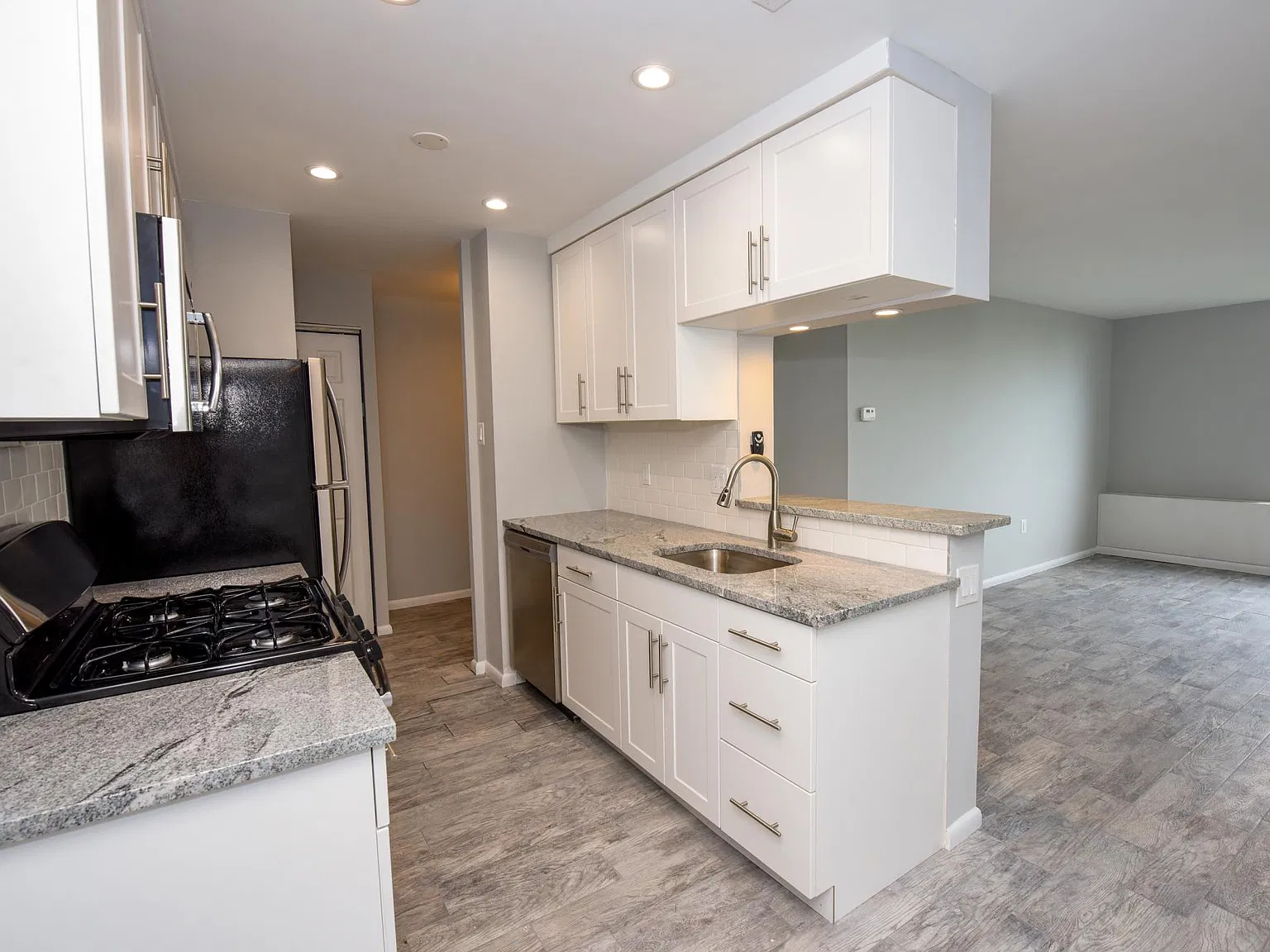 1 bed, 869 sqft, $1,595 — Photo 3