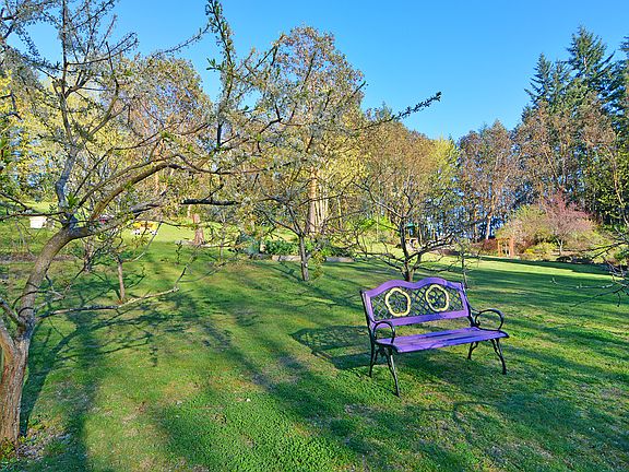 Orchard
