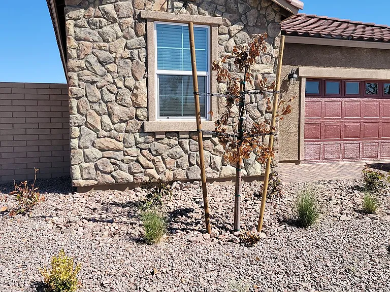 60 Cadence Crest Ave — Photo 4