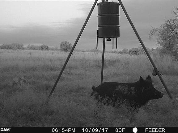 4th image of 3415 County Road 371