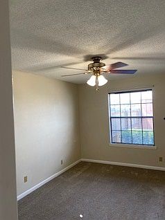 carpet much lighter than in this picture. Beige color. Primary BR-larger than pic shows.