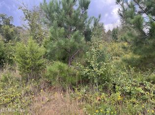 114 Center Point Acre N #24, Walling, TN 38587