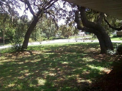 2nd image of 197 Paradise Island Dr