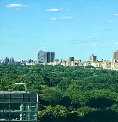 Rented by Douglas Elliman | media 1