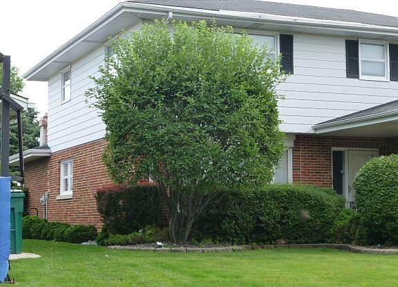 5th image of 11028 Kingston St