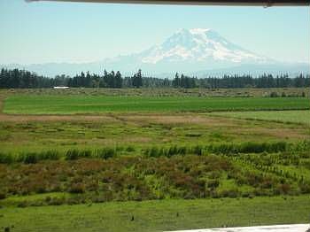 1st image of 30721 40th Ave S