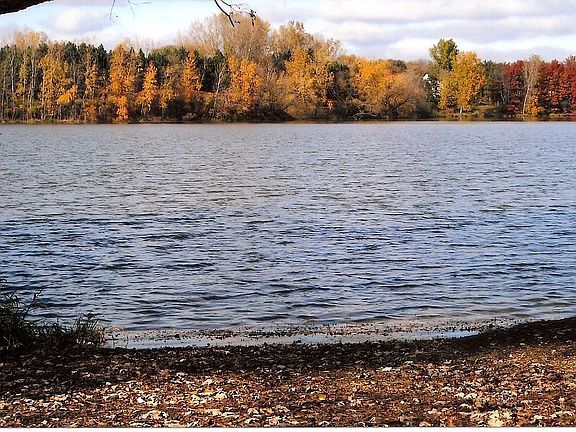 5th image of 2954 Edgewater Dr