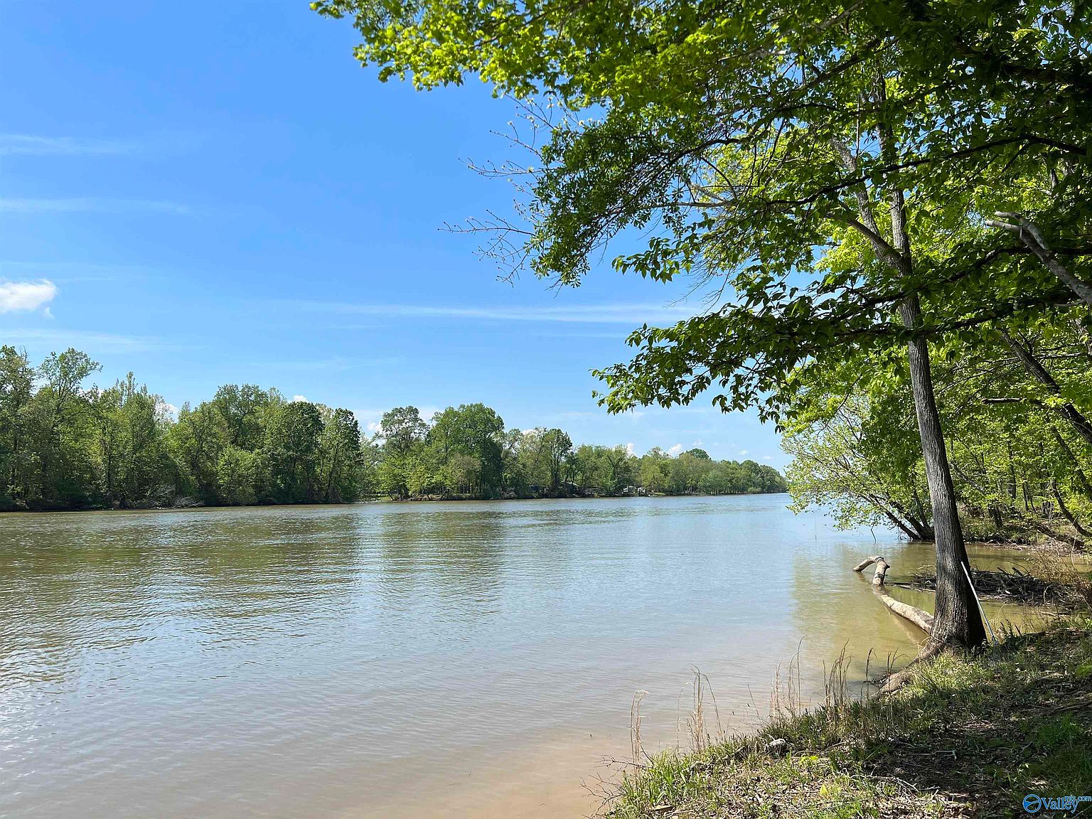 1475 County Road 182, Cedar Bluff, AL 35959 Zillow