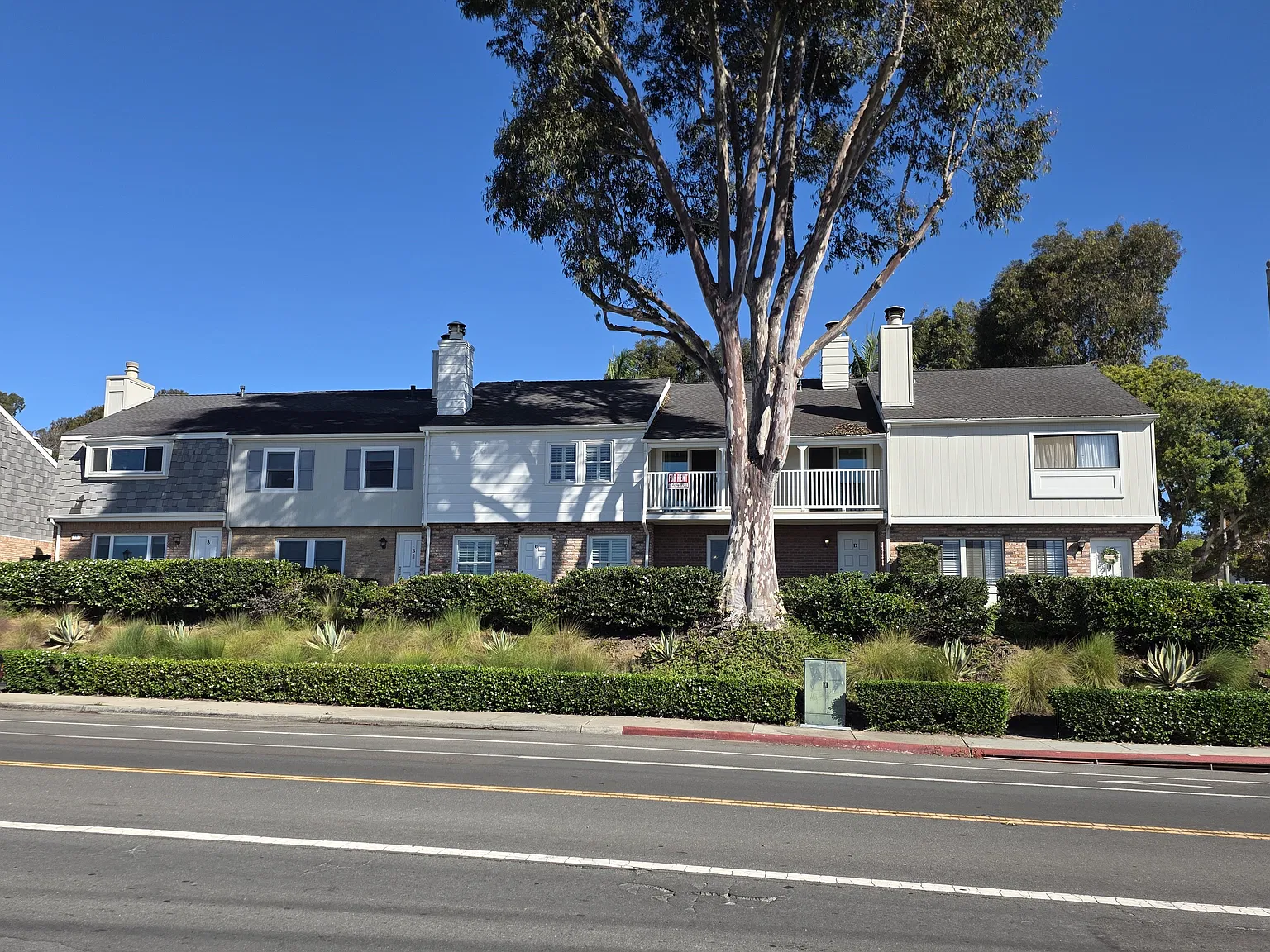3 bed, 2.5 bath, 1344 sqft, $5,495 — Photo 3