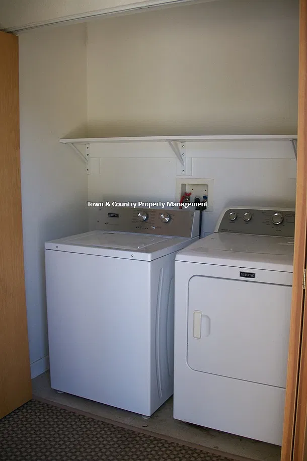 3 bed, 1600 sqft, $3,000 — Photo 4