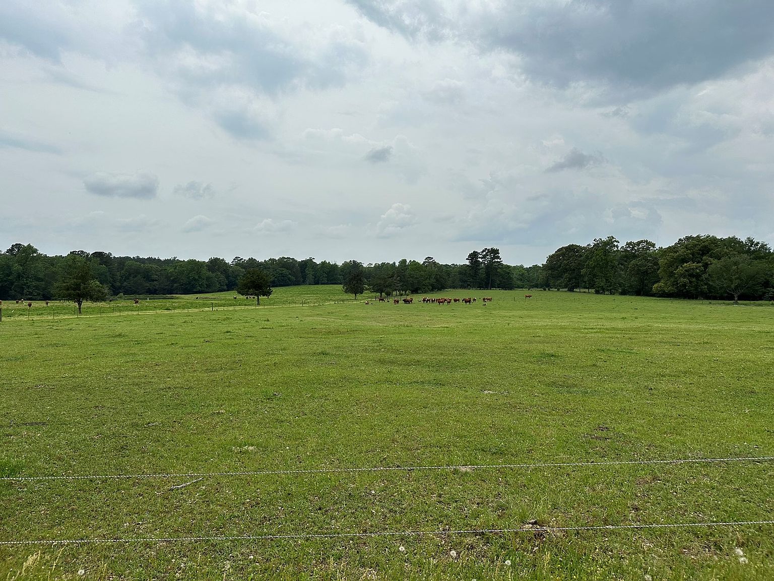 317 County Road 4404, Reklaw, TX 75784 Zillow