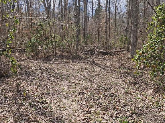 5th image of 0 Byrd Rd