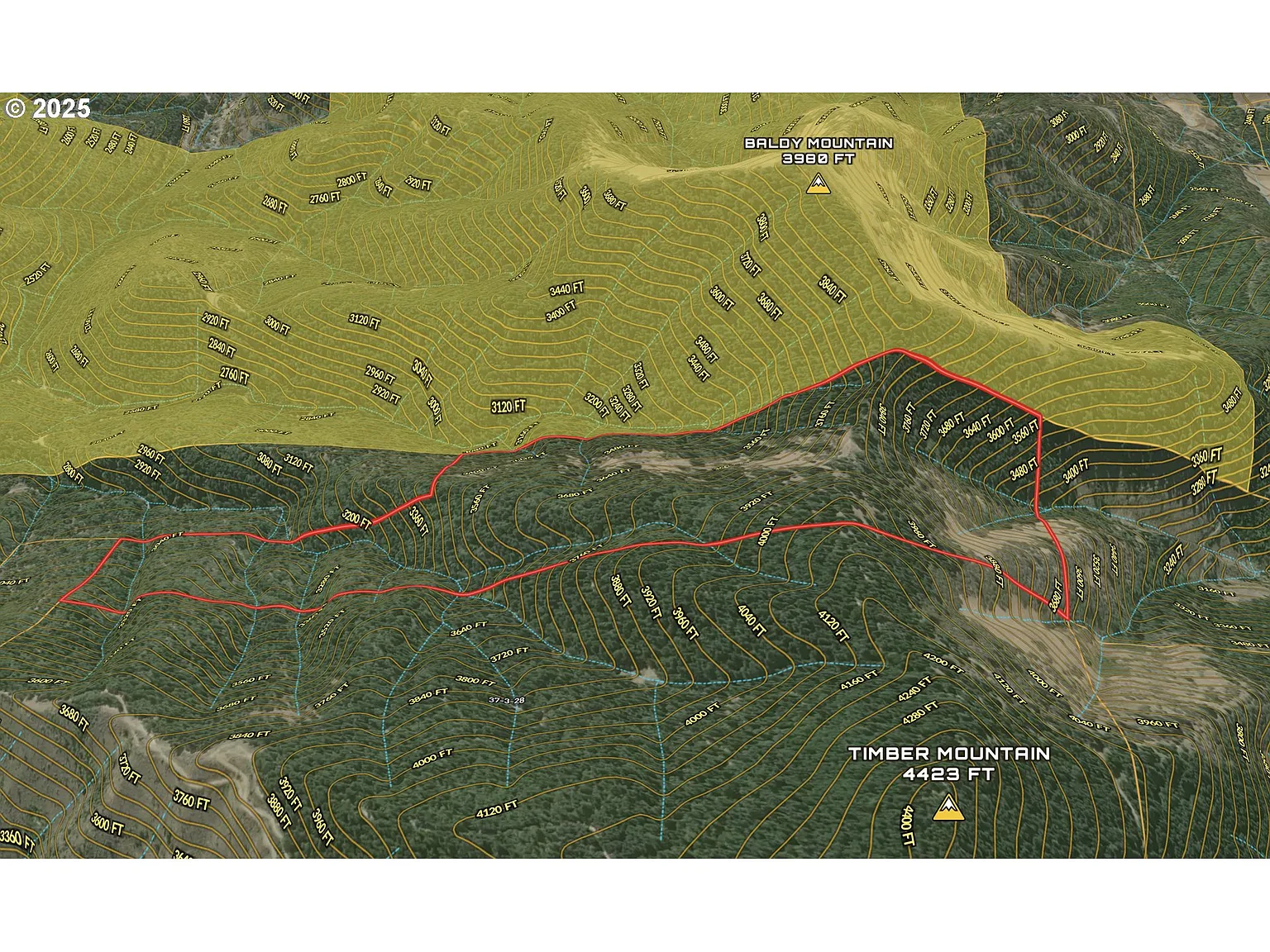 Foots Crescent Rd photo 1