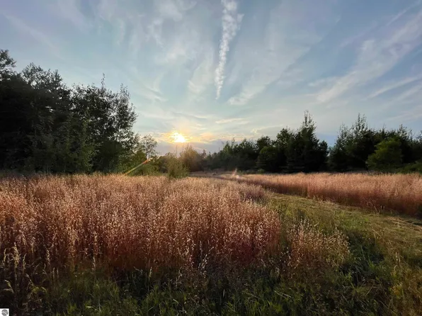 E 18 1/2 Rd Parcel E, Manton, MI 49663