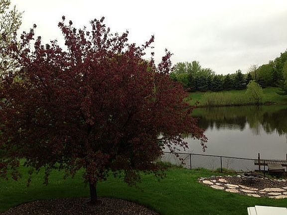 Backyard, view from deck