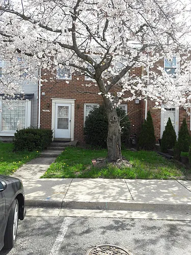 11971 Beltsville Dr Photo 1