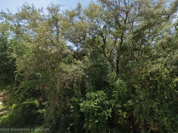2145 N Morningside Rd, Avon Park, FL 33825
