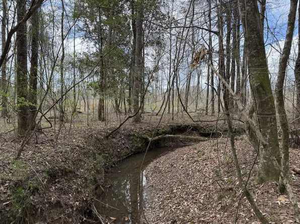 0 S Railroad Ave, Georgiana, AL 36033