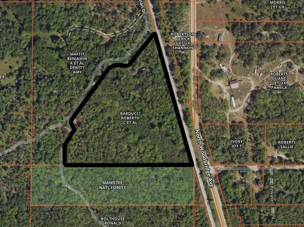 2054 W Truman Ave, Bitely, MI 49309