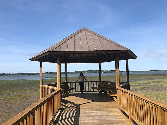 Rose Hill Colleton Pt.