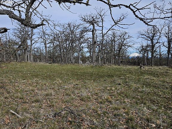 5th image of 0 Ridgetop Rd N #107