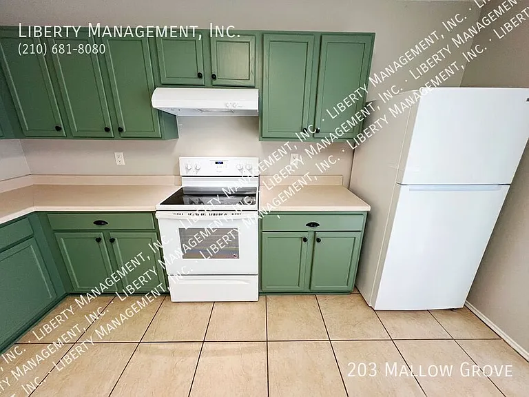 203 Mallow Grv — Photo 13