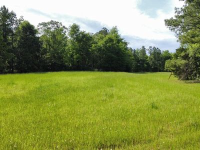 0 County Road 44 #0, Linden, AL, 36748