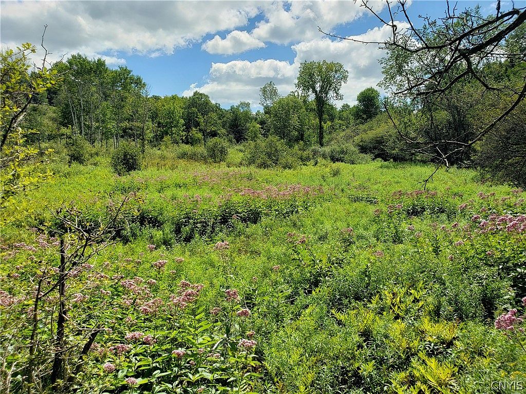 0 Atwood Rd, Moravia, NY 13118 Zillow