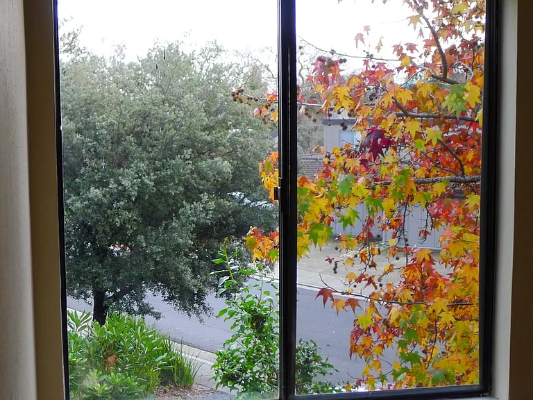 second bedroom window view