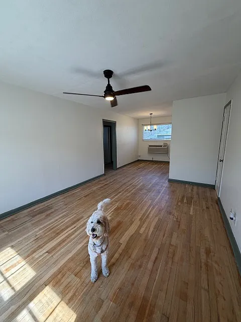 1 bed, 825 sqft, $1,275 — Photo 3