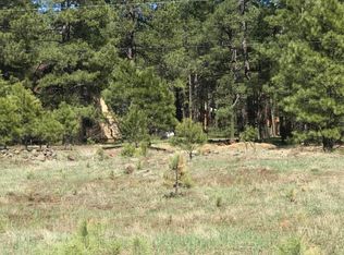 817 N Skylane Rd LOT 218, Pinetop, AZ 85935