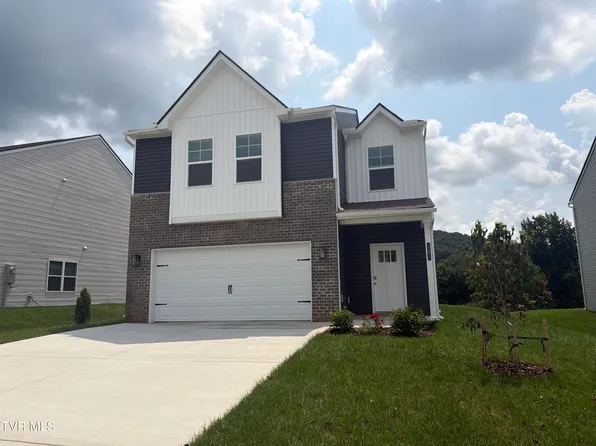 281 Chimney View Loop, Blountville, TN 37617