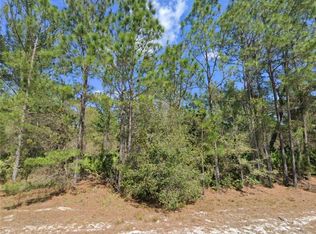 410 Carteret Rd #24, Georgetown, FL 32139